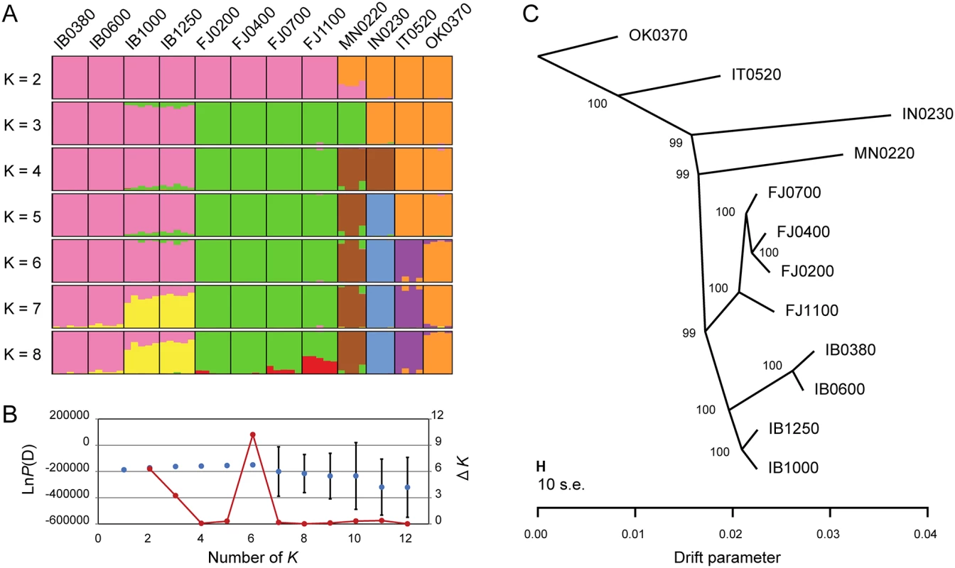 Genetic structures of the populations.