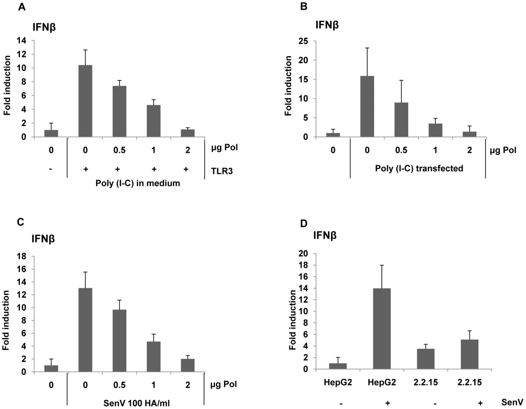 HBV Pol inhibits both dsRNA- and Sendai virus-induced IFNβ promoter activation.