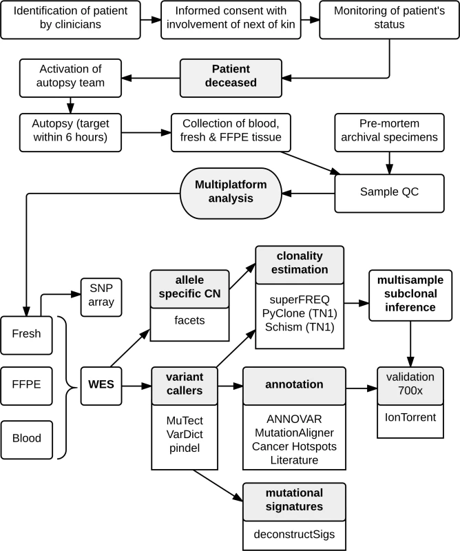 Workflow diagram giving overview of methodology.