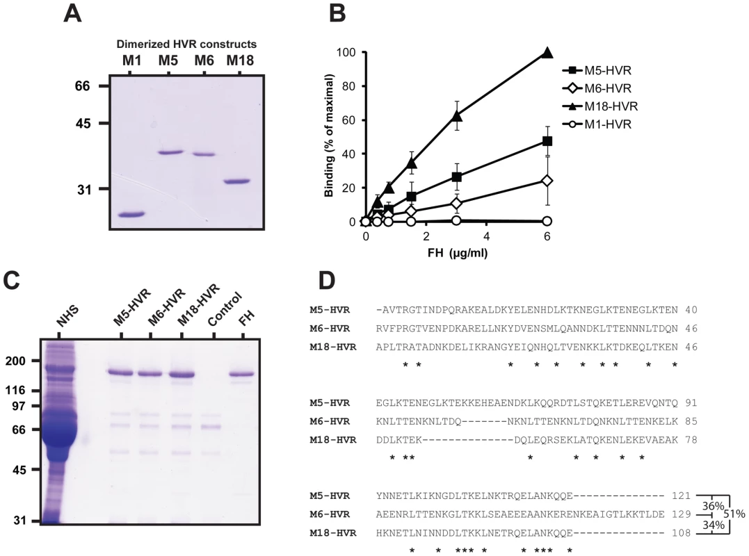 Isolated HVRs derived from M5, M6 and M18 specifically bind FH.