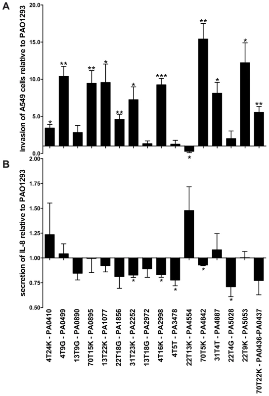 Stimulation of A549 with <i>P. aeruginosa</i> Pos-STM mutants.