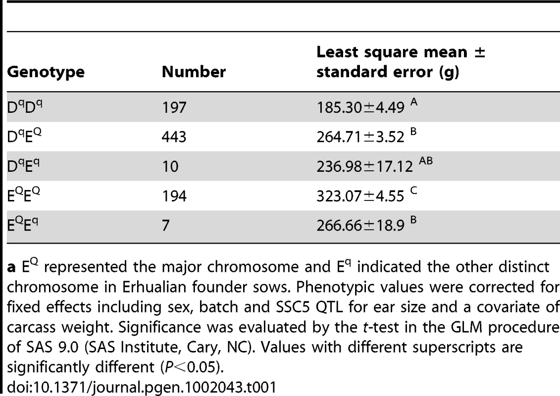 Effects of Erhualian <i>Q</i> or <i>q</i> -bearing chromosomes on ear weight in the White Duroc × Erhualian F<sub>2</sub> cross.<em class="ref">a</em>