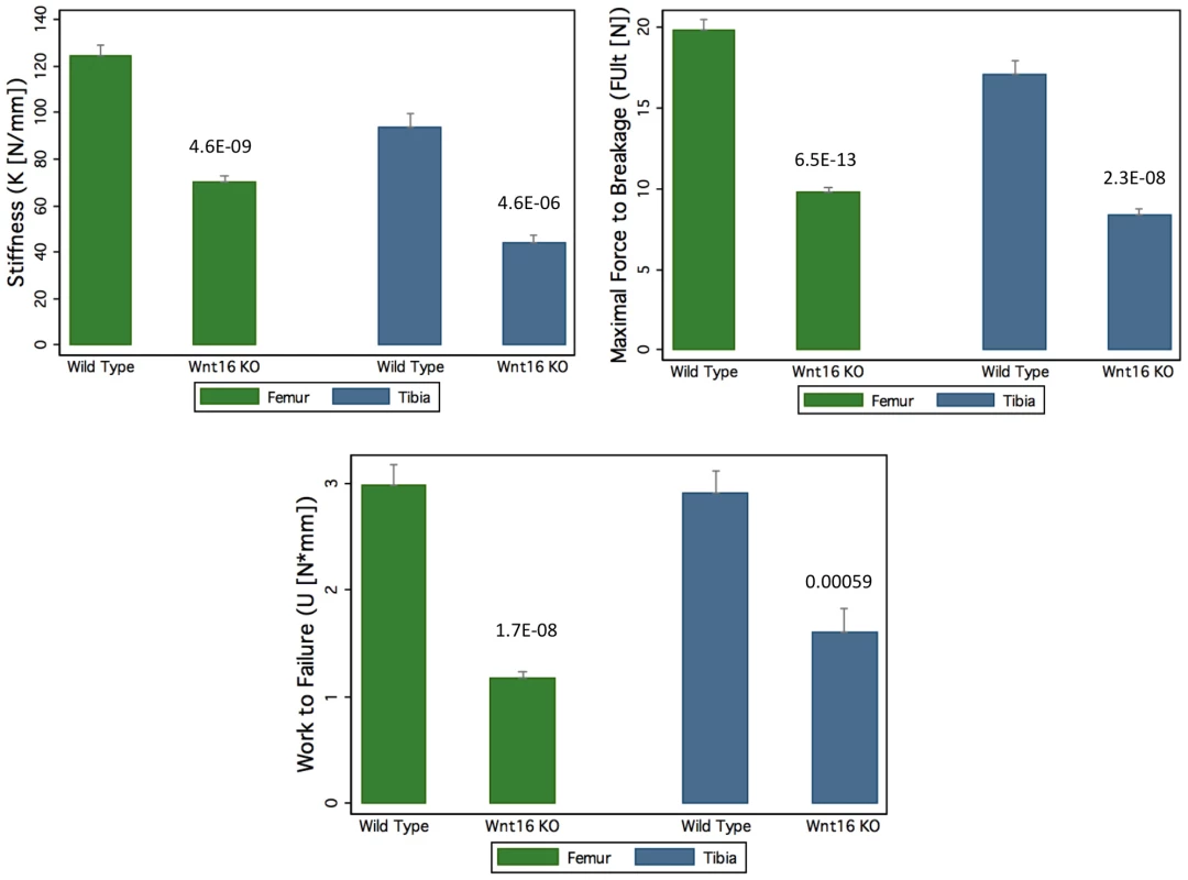 Decrease of bone strength of <i>Wnt16</i> knockout mice at femur and tibia.