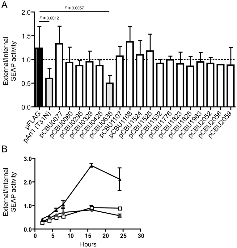 CBU0635 interferes with host protein secretion.