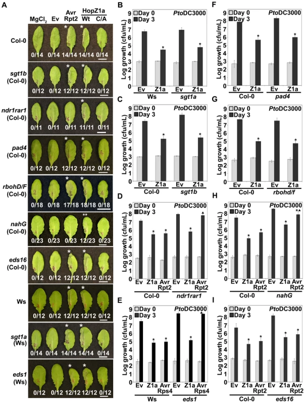 HopZ1a recognition is independent of known signaling components of <i>R</i> gene- mediated immunity.