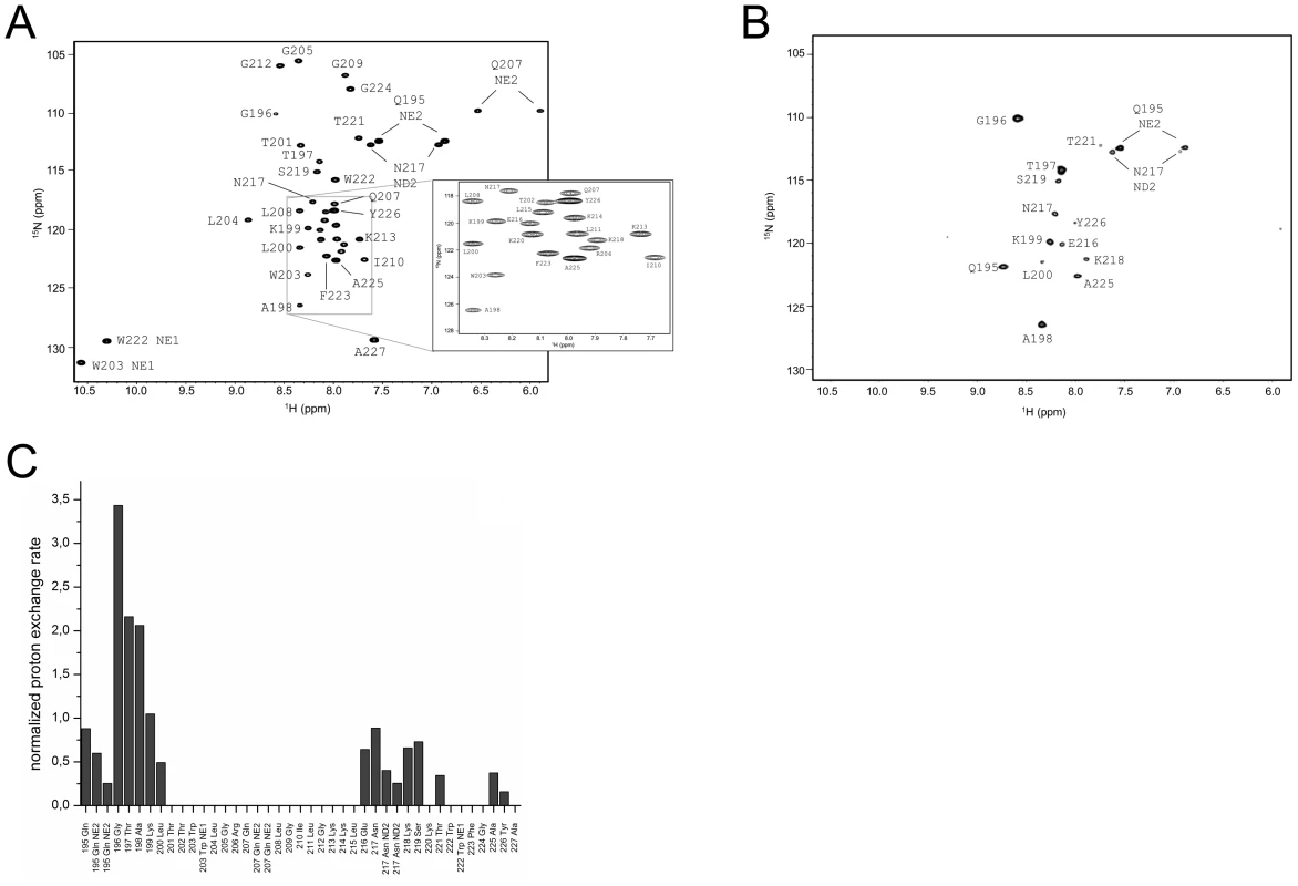Water accessibility measurement of E<sup>rns</sup>ΔN.