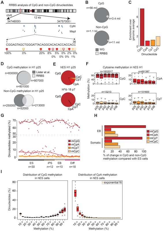 Global distribution of CpG and non-CpG methylation in human cell types.