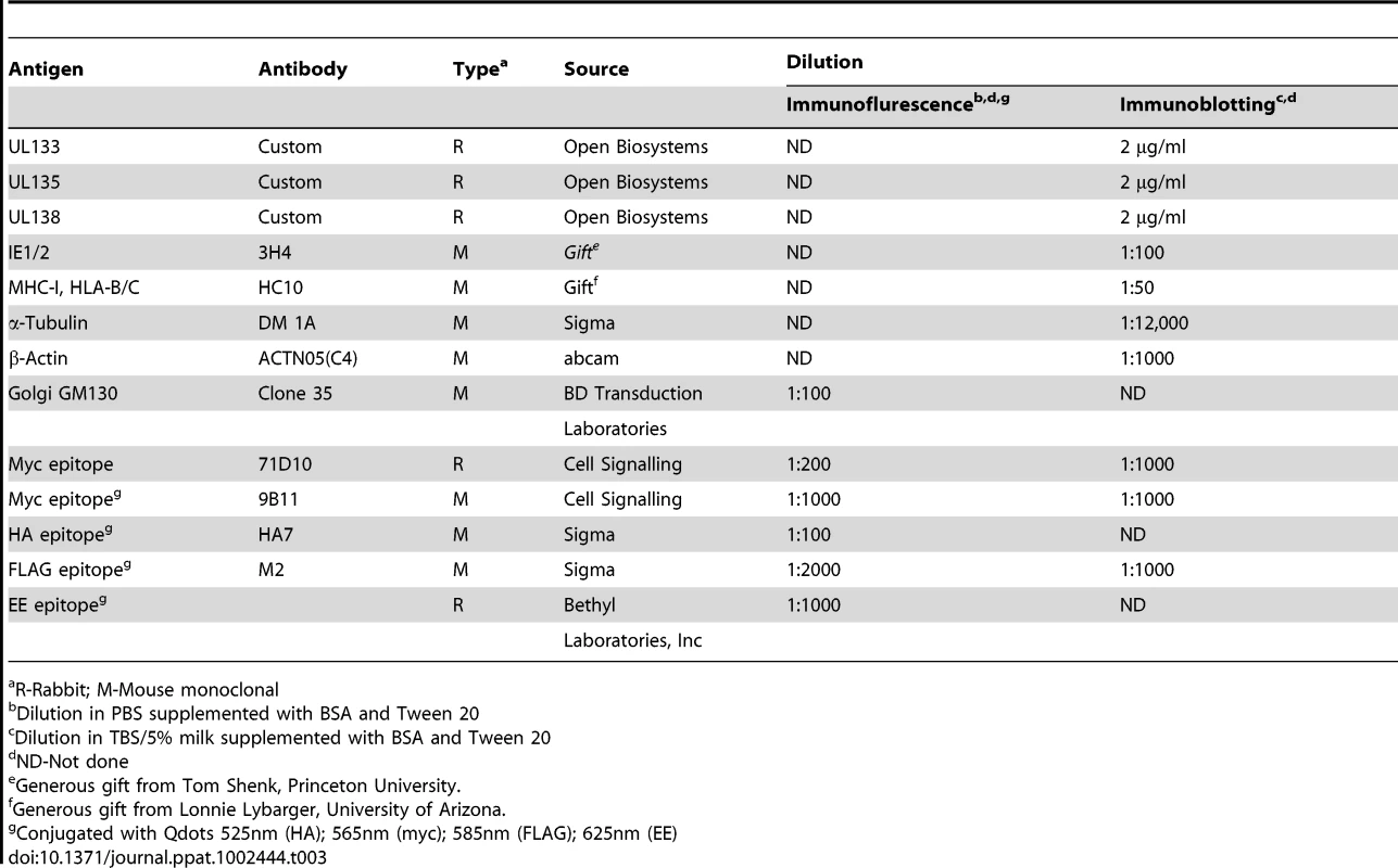 Primary antibodies used for immunofluorescence and immunoblotting.