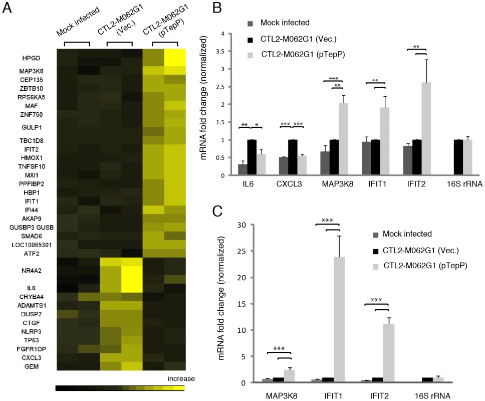 Global transcriptional profiling links TepP function to immune-related responses.