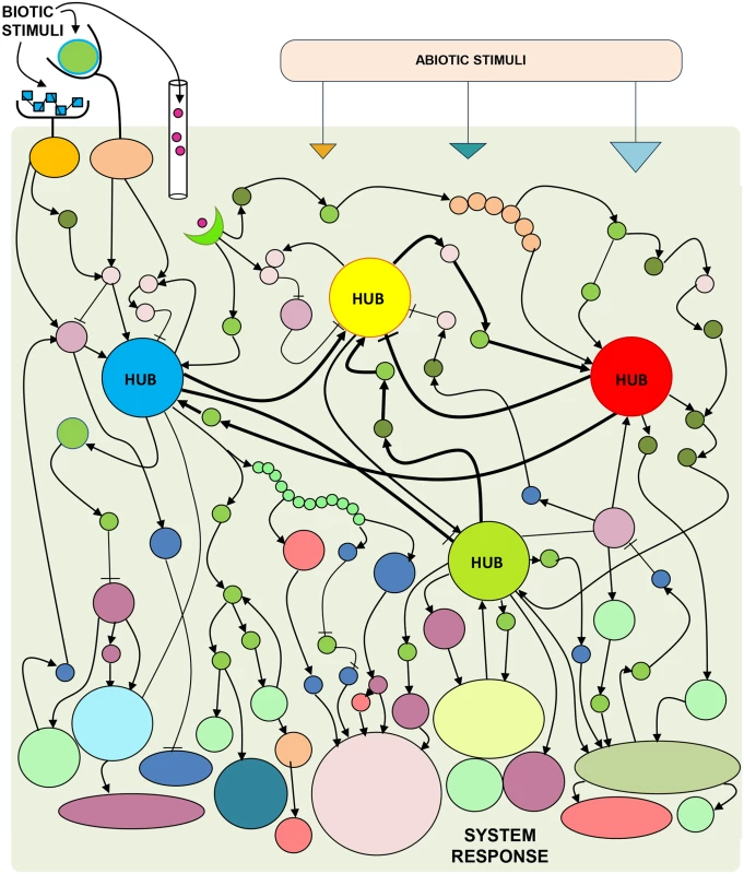 Combinations of system perturbations assist in discovering the mechanisms that drive complex biological system responses.