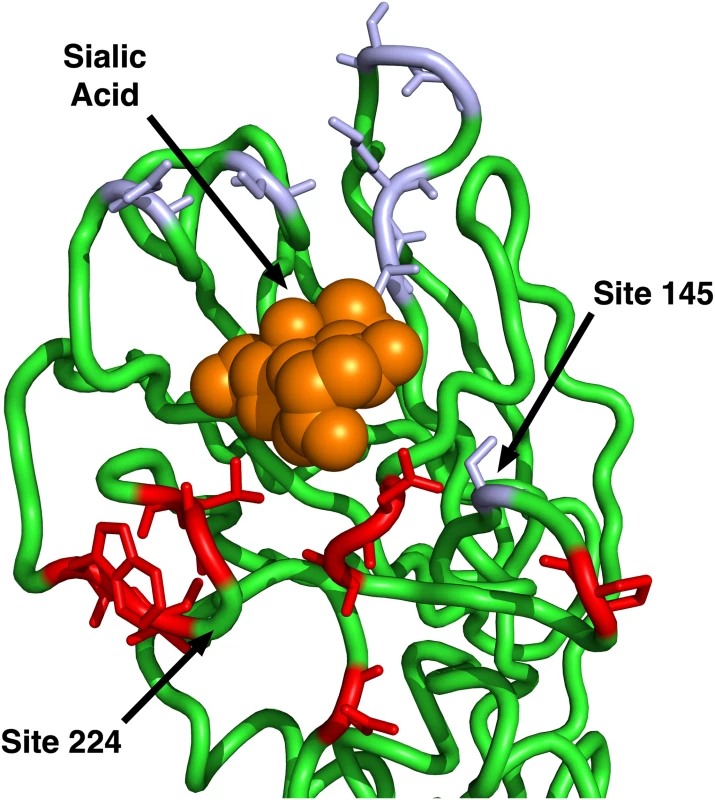Sites identified by Koel et al. 2013 and those predicted to have <i>dN</i>/<i>dS</i> > 1.