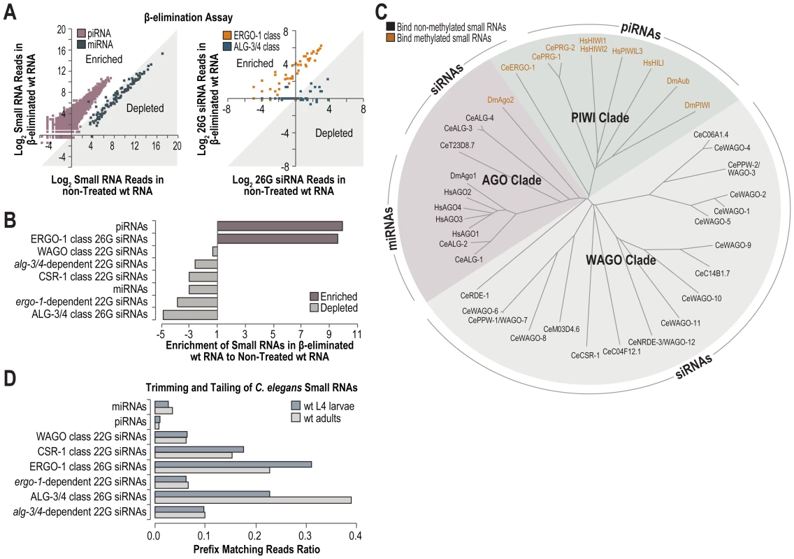 High-throughput sequencing of methylated small RNAs.
