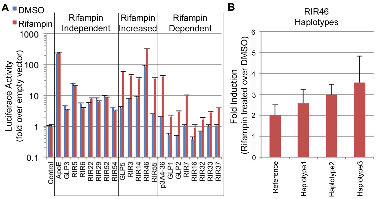 Functional enhancer assays.