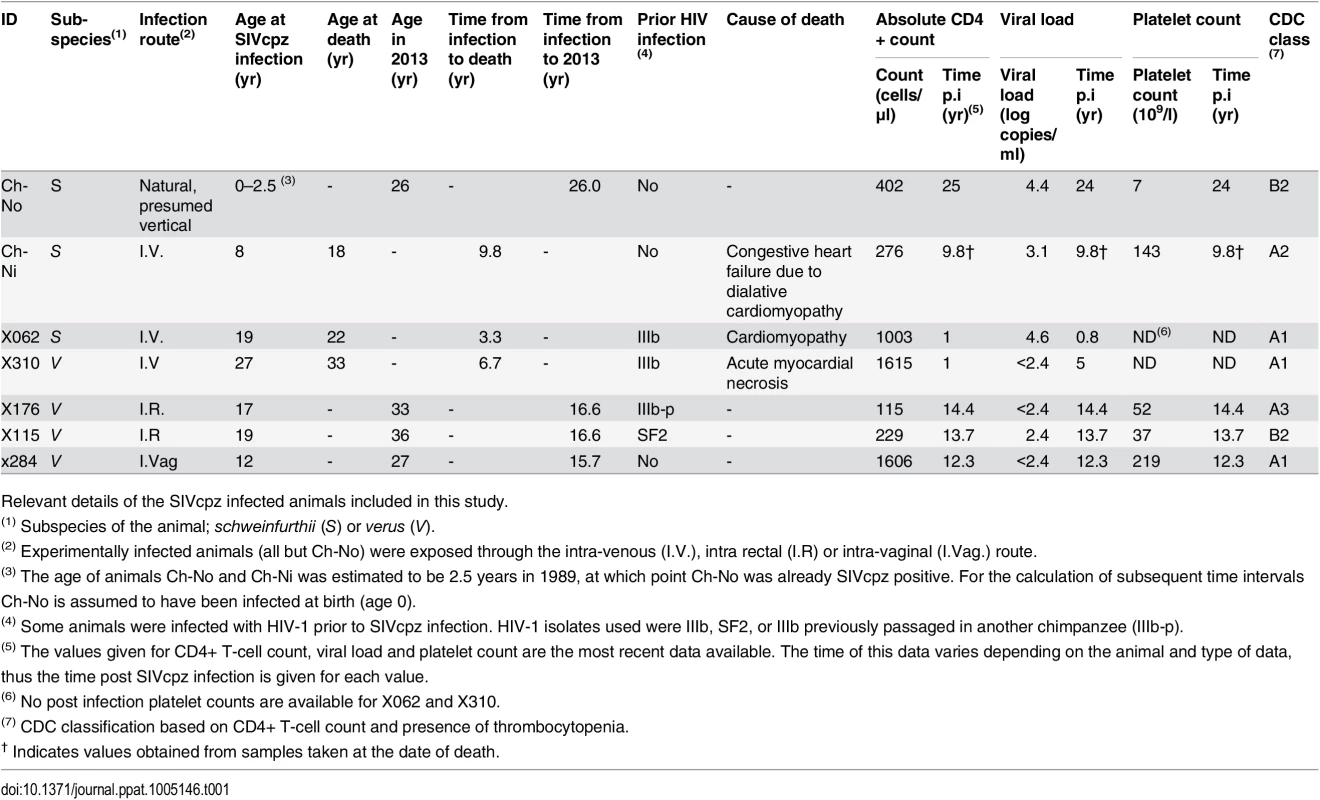 Characteristics of the SIVcpz infected cohort.