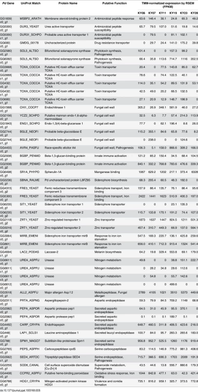Possible virulence genes expressed in <i>Pd</i> growing on WNS-affected bats.
