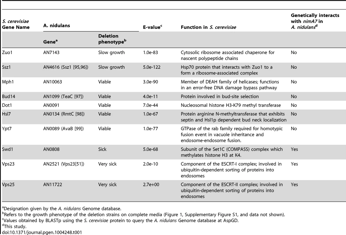 <i>A. nidulans</i> orthologues of genes that are synthetically lethal with Δ<i>kin3</i> in <i>S. cerevisiae</i>.
