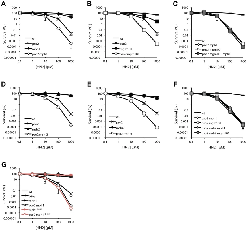 Pso2 and Mph1-Mgm101-MutSα control redundant ICL repair pathways.
