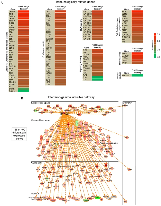 High numbers of infiltrating immune cellular genes are detected in EBVaGC.
