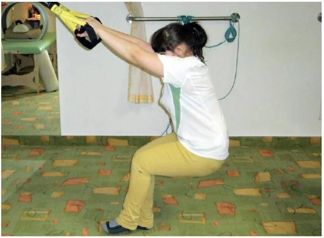 TRX Squat single.