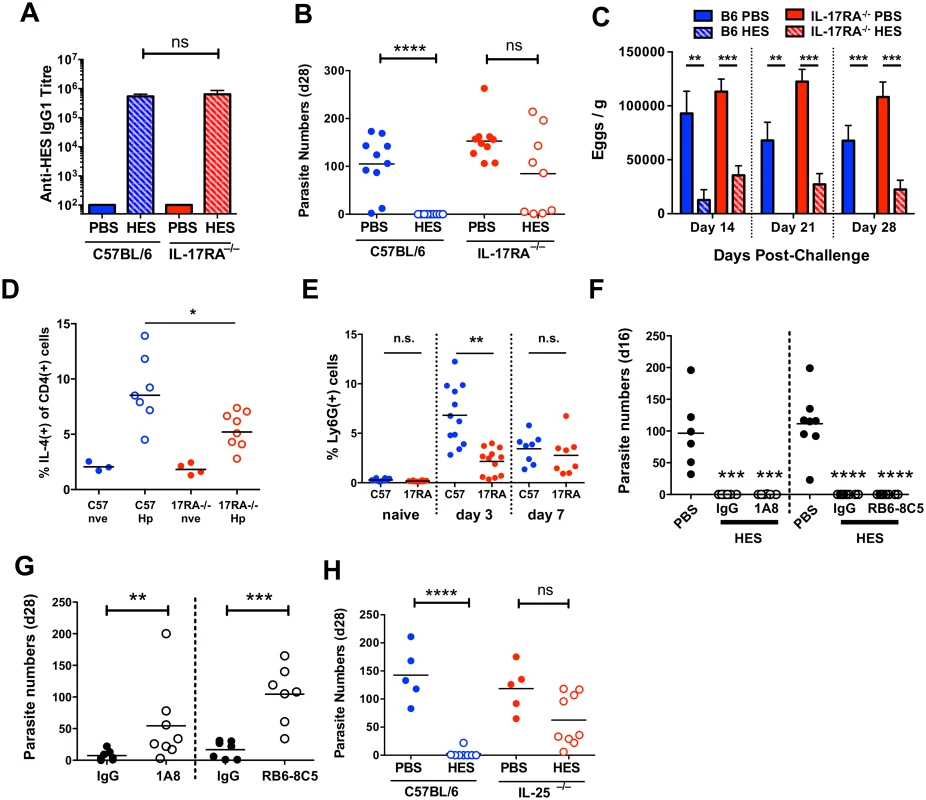 Vaccine-induced immunity requires IL-25.