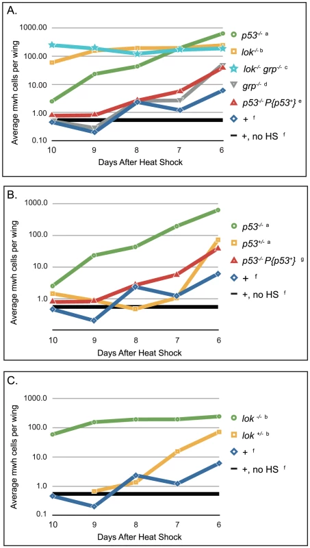 Cell survival after telomere loss at different time points in development.