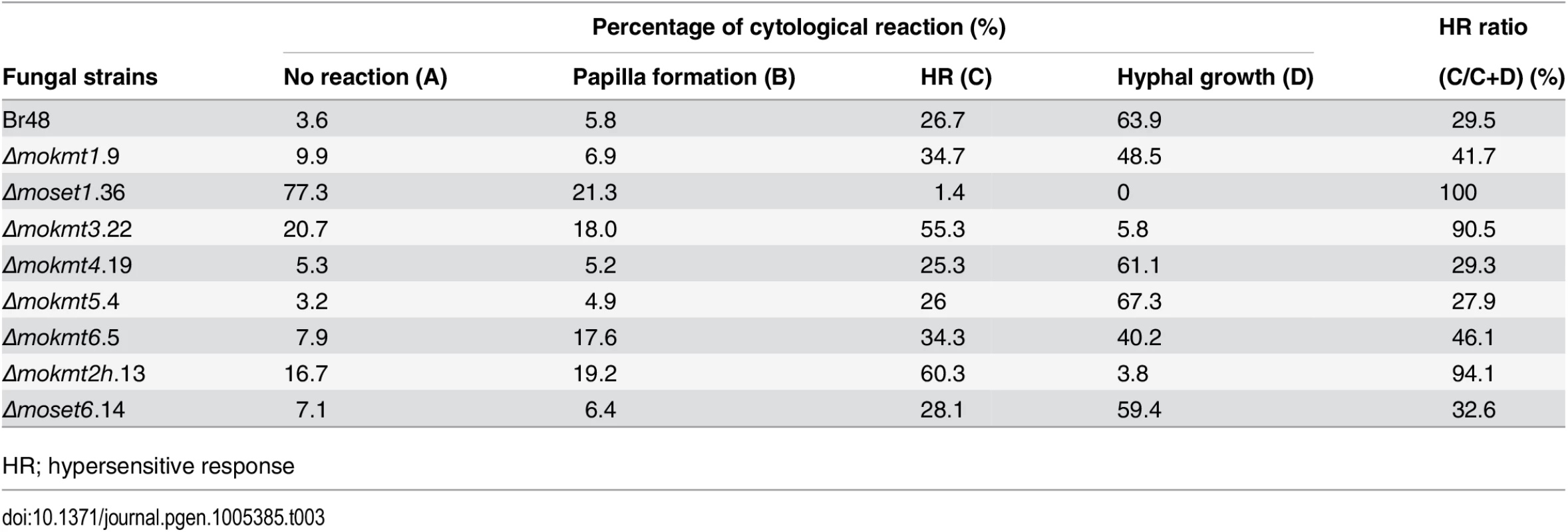 Cellular response of wheat leaves cultivar Norin 4 to the wild type and mokmt deletion strains.
