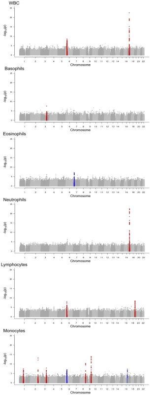 Results of discovery phase meta-analyses for white blood cell phenotypes.