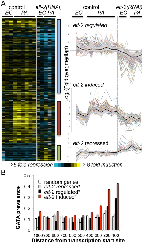 <i>elt-2</i> regulated genes.