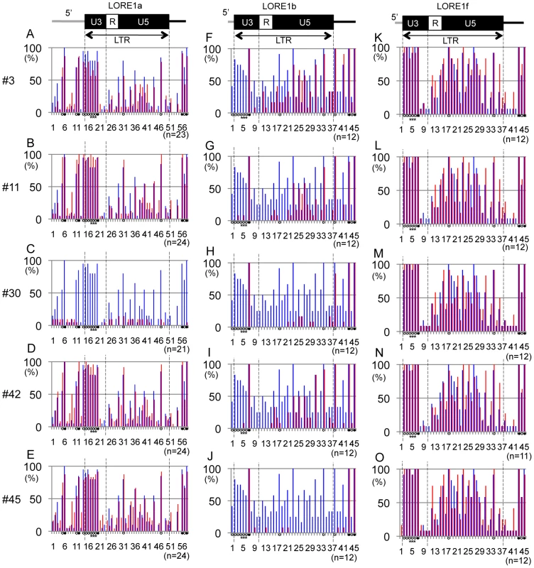 Cytosine methylation status around the 5′ LTR of <i>LORE1</i>a, <i>LORE1</i>b, and <i>LORE1</i>f.