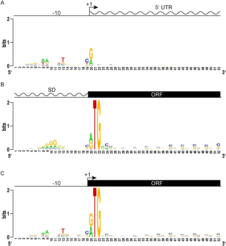 Leaderless gene architectures bring promoters and ORFs together.