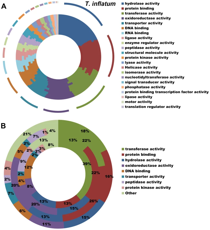 Functional classification of gene content.