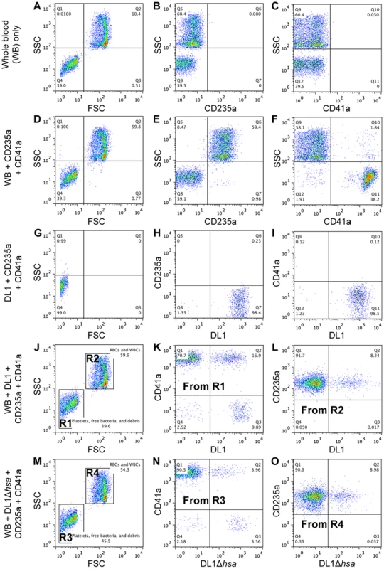 Representative flow cytometry profiles showing preferential platelet-bacterial adherence in intact whole human blood.