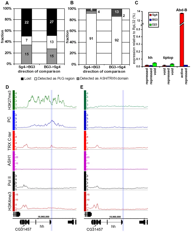 The “void” chromatin state.
