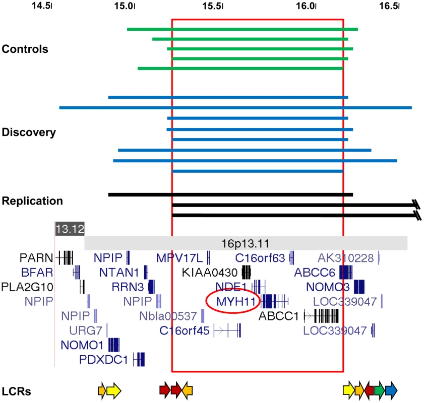 Characterization of 16p13.1 duplications in individuals with thoracic aortic aneurysms and dissections.