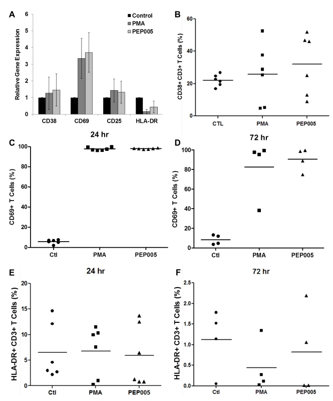 Expression of T cell activation markers in PEP005-treated primary CD4+ T cells.
