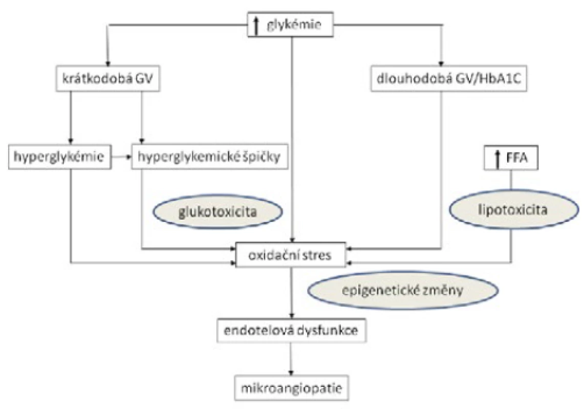 Schéma patogenního vlivu glykemické variability na mikrovaskulární poškození