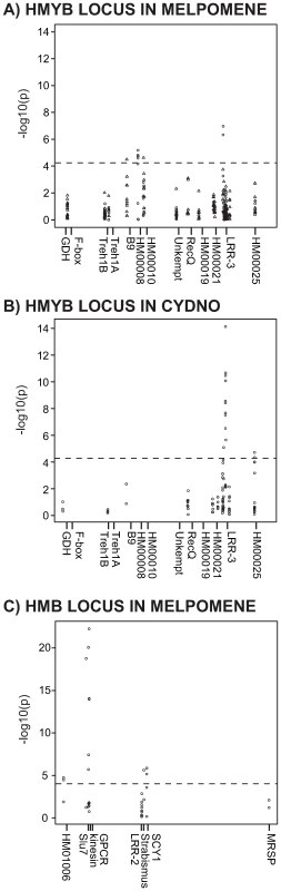 Genotype-by-phenotype associations across three phenotypic comparisons.