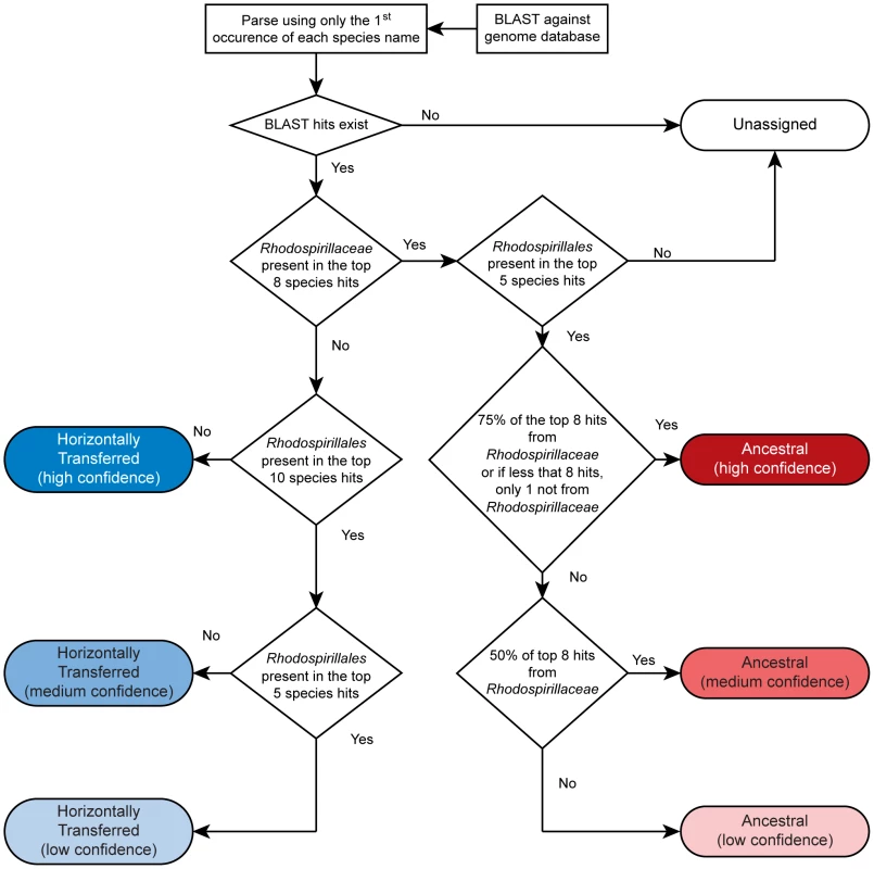 Scheme for detecting ancestral and horizontally transferred genes.