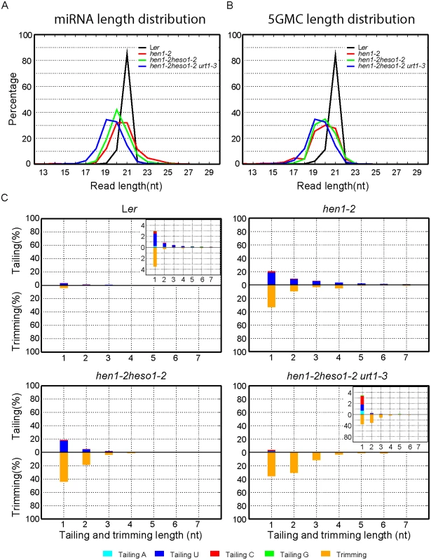 Global changes of miRNA profiles in <i>hen1-1 heso1-2 urt1-3</i>.
