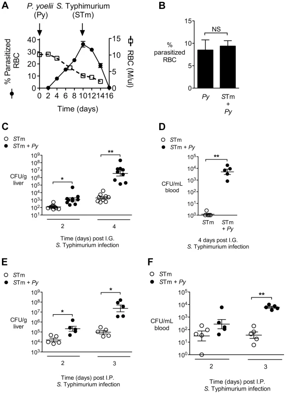 Increased systemic replication of <i>S.</i> Typhimurium (<i>S</i>Tm) during concurrent <i>P. yoelii</i> (<i>Py</i>) infection.