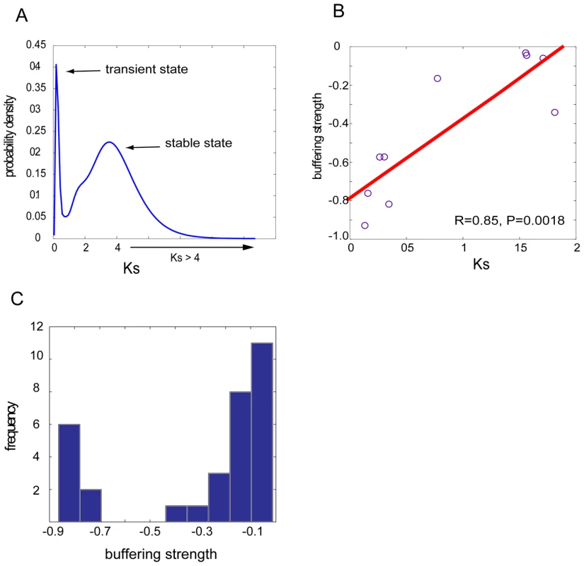Neutral evolution of genetic buffering between duplicate genes.