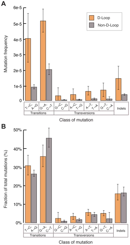 The D-loop has an elevated mutation burden but its mutation spectrum is similar to the remainder of the mitochondrial genome.