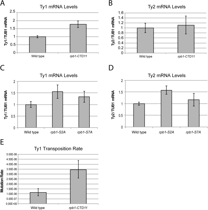 Structural integrity of the RNAPII-CTD was important for normal retrotransposon mRNA levels and transposition rates.