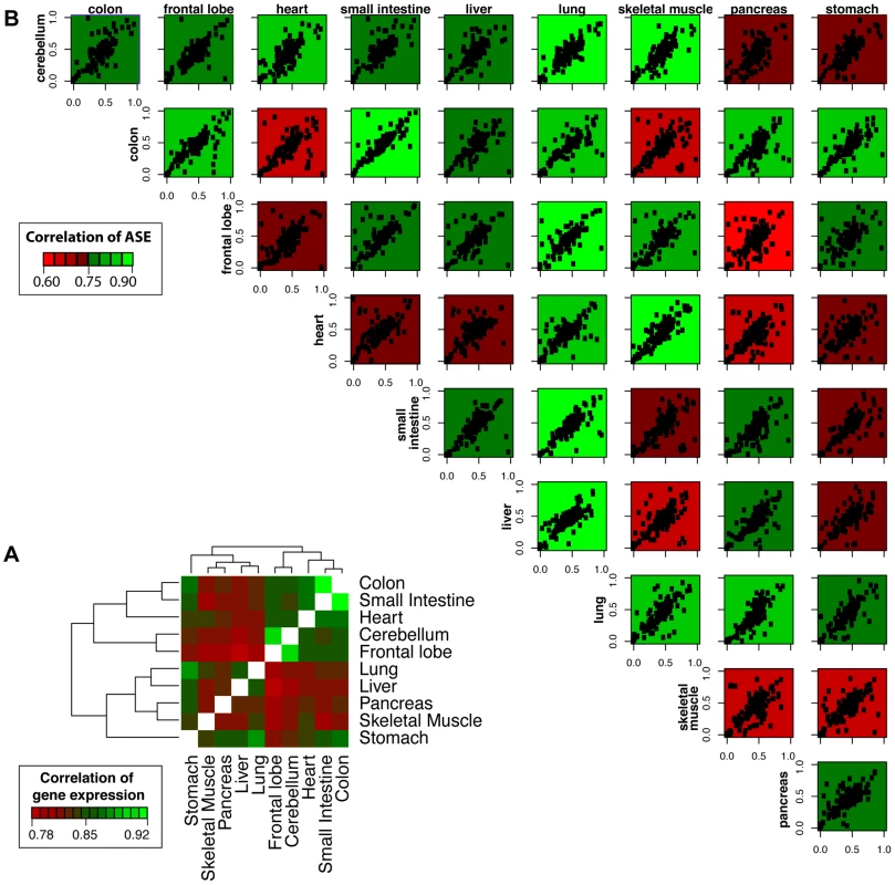 Correlation of gene expression and allelic ratios across ten somatic tissues.
