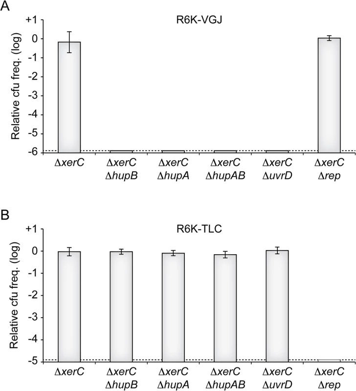 HU and UvrD in RCR of other <i>V</i>. <i>cholerae</i> IMEXs.
