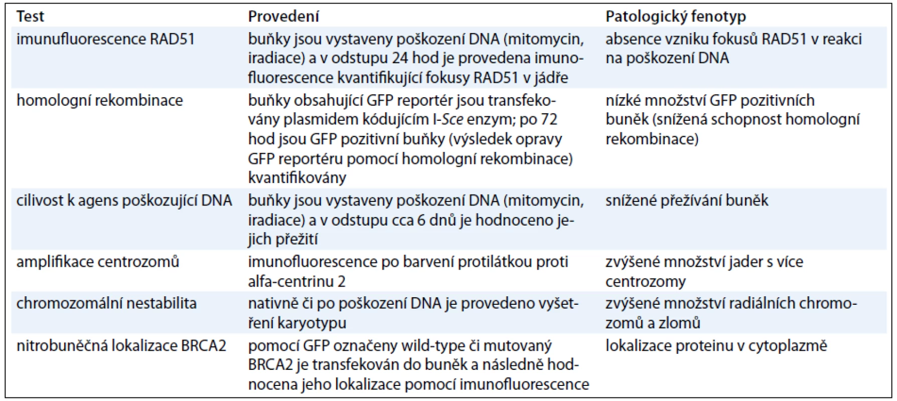 Přehled používaných funkčních testů, jejich provedení a hodnocení.