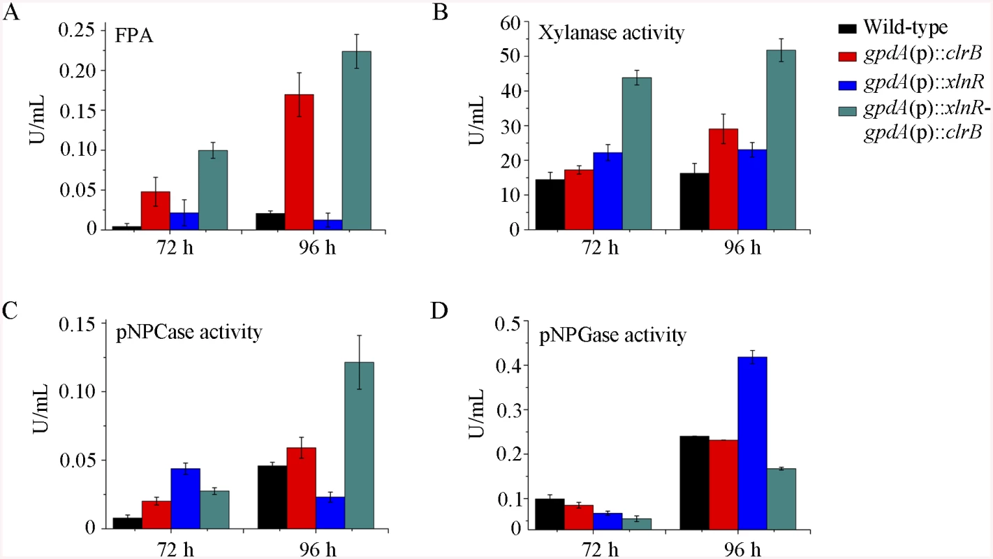 Enzyme activities of culture supernatants from mutants containing overexpression of <i>clrB</i> and/or <i>xlnR</i> on cellulose.