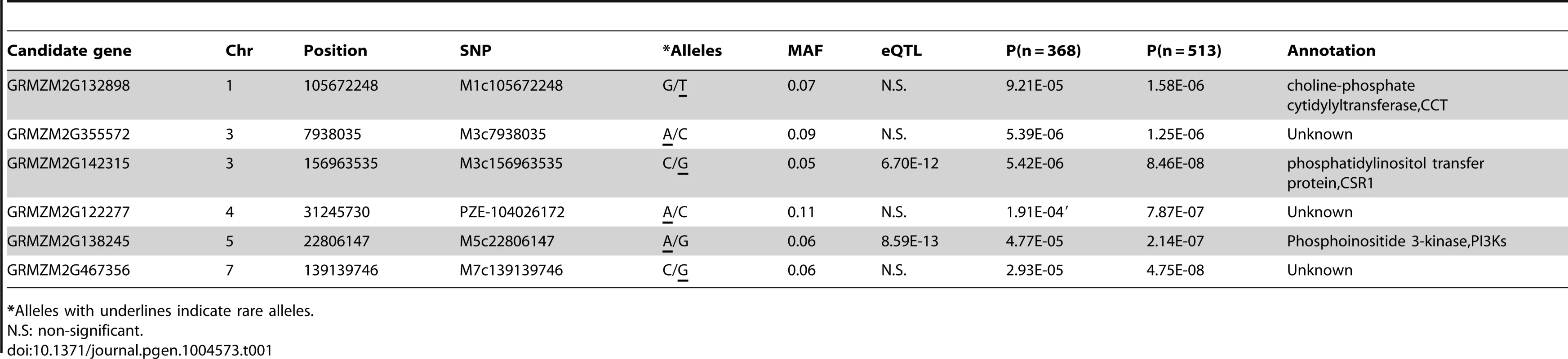 Additional SNPs and candidate genes significantly associated with oil concentration found using imputed genotype data.