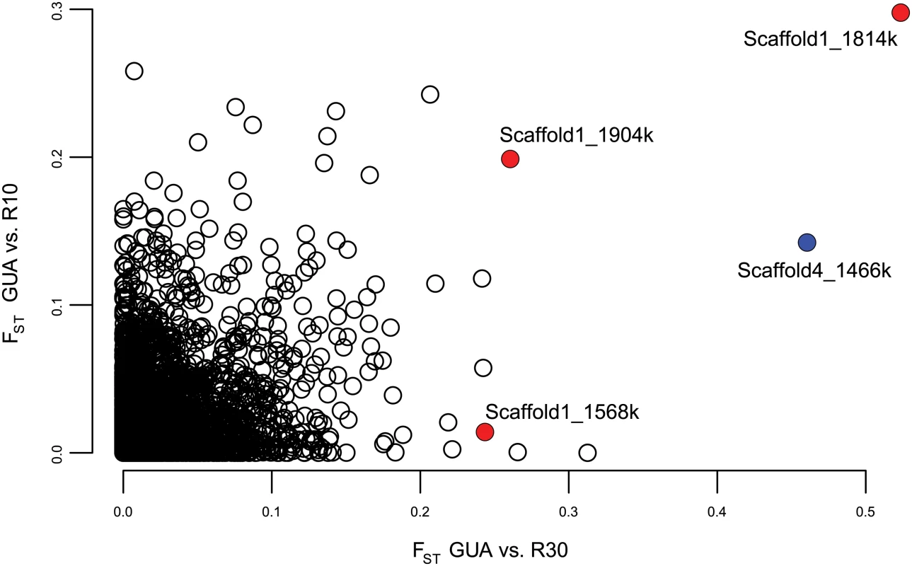 F<sub>ST</sub> values between the unselected control line (GUA) and each selected line (R10 and R30).