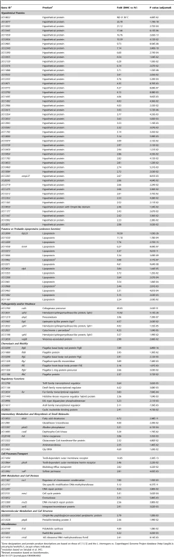 <i>L. interrogans</i> sv. Copenhageni genes upregulated in DMCs compared to <i>in vitro</i>.